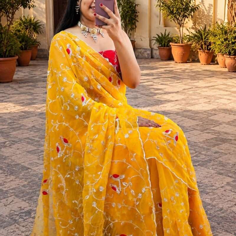 Designer Thread Work Chiffon Saree with Cutwork Border