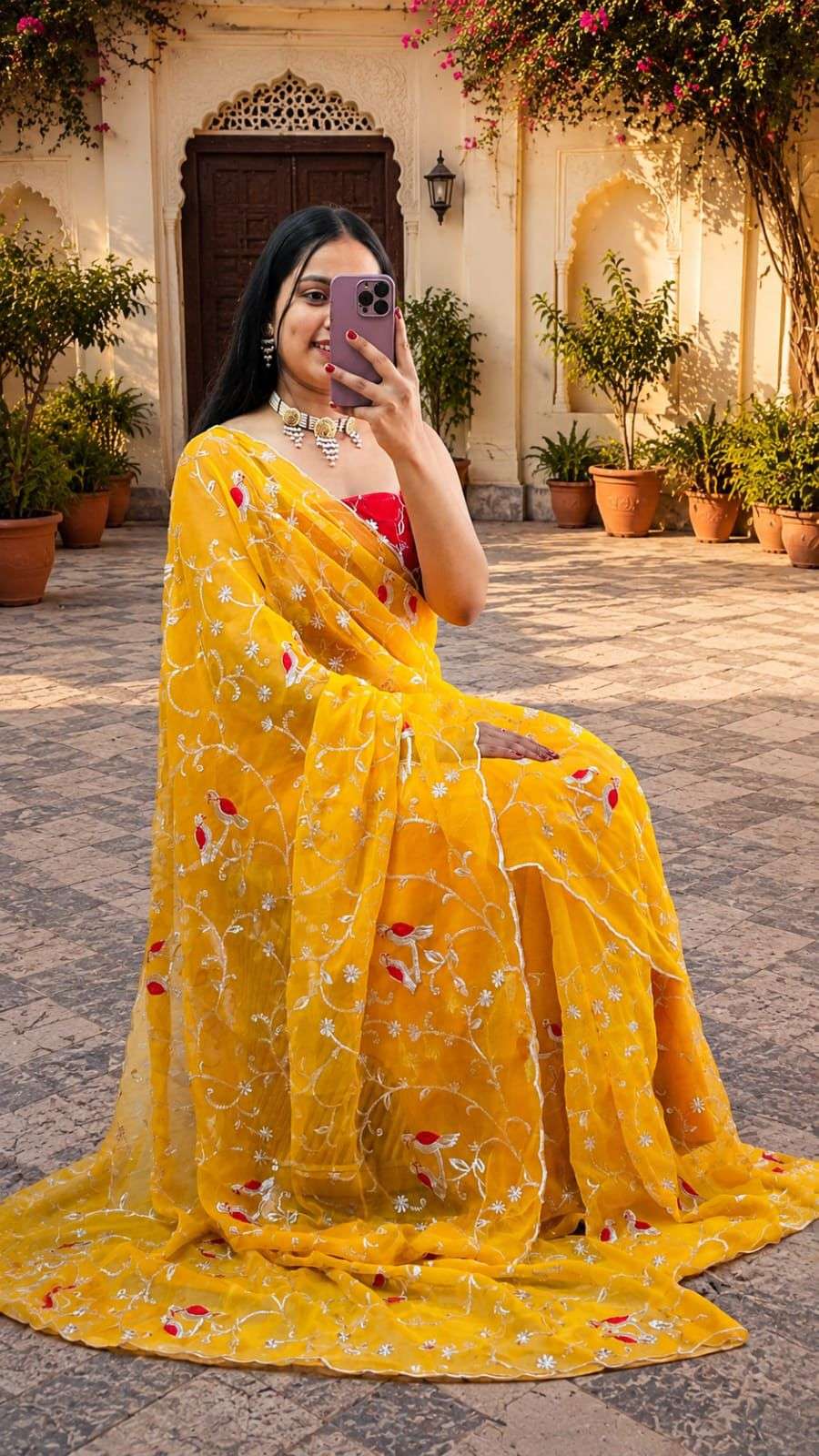 Designer Thread Work Chiffon Saree with Cutwork Border